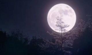 望星空歌谱 望星空歌谱