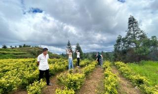贵州村超水平怎么样 贵州村超水平怎么样