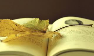 议论文格式 议论文格式