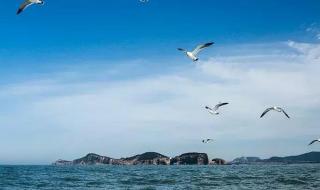 威海海驴岛 威海海驴岛