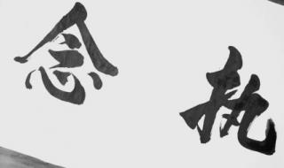 一念执着mv 一念执着mv