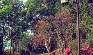 厦门铁路公园 厦门铁路公园