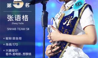 snh48第二届总选举