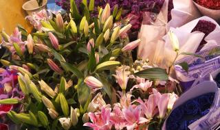 玫瑰花的葬礼吉他谱 玫瑰花的葬礼吉他谱