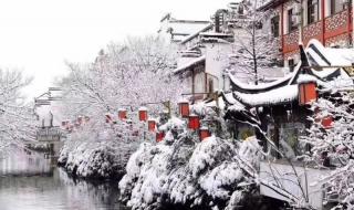 杭州这回的雪下得挺大 杭州这回的雪下得挺大