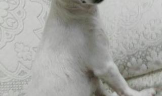 五六音乐下午茶 五六音乐下午茶