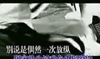 你说爱我又不爱我dj 你说爱我又不爱我dj