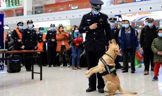 2022赶海潮汐时间表