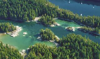 什么春来江水绿如蓝