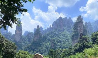 张家界需要多少钱