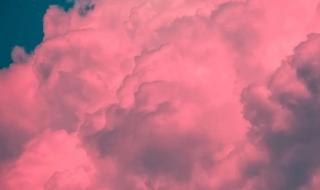 敬颂冬绥是什么意思